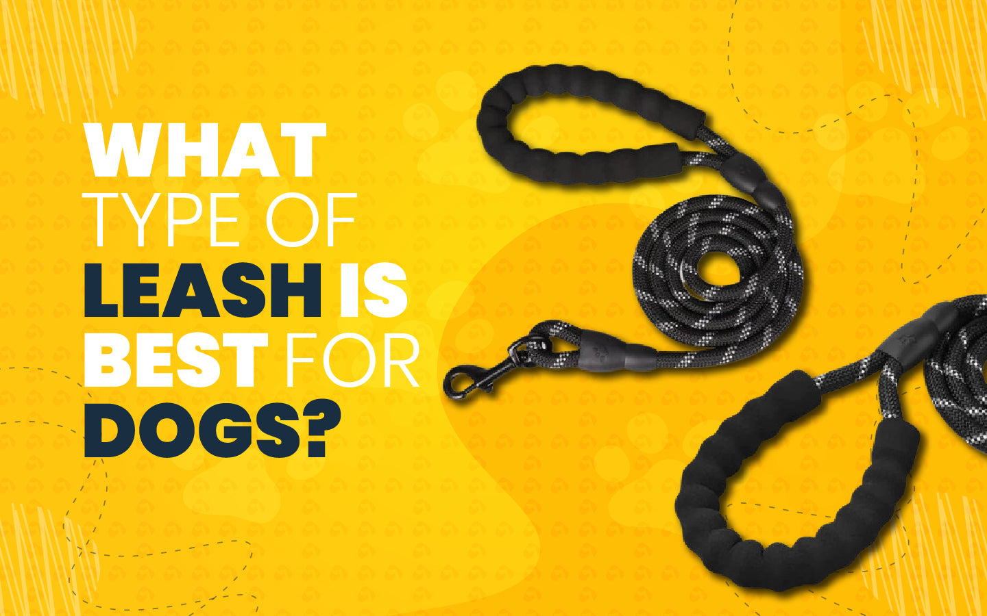 What Type Of leash Is Best For Dogs?